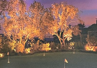 Lighting