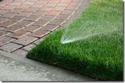 sprinkler